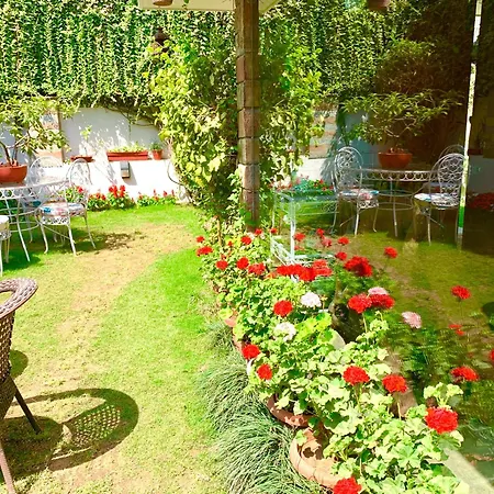 Camellia Heritage Homestay-3